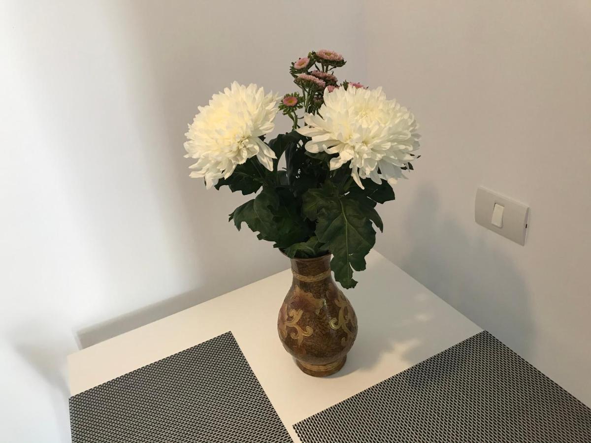 קונסטנצה Sea Studio מראה חיצוני תמונה